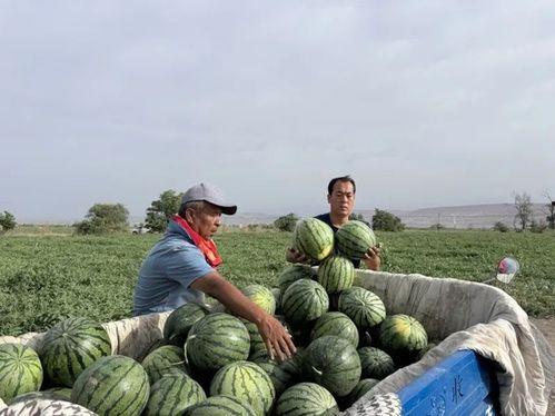 每天娱乐吃瓜,娱乐圈新鲜事速递